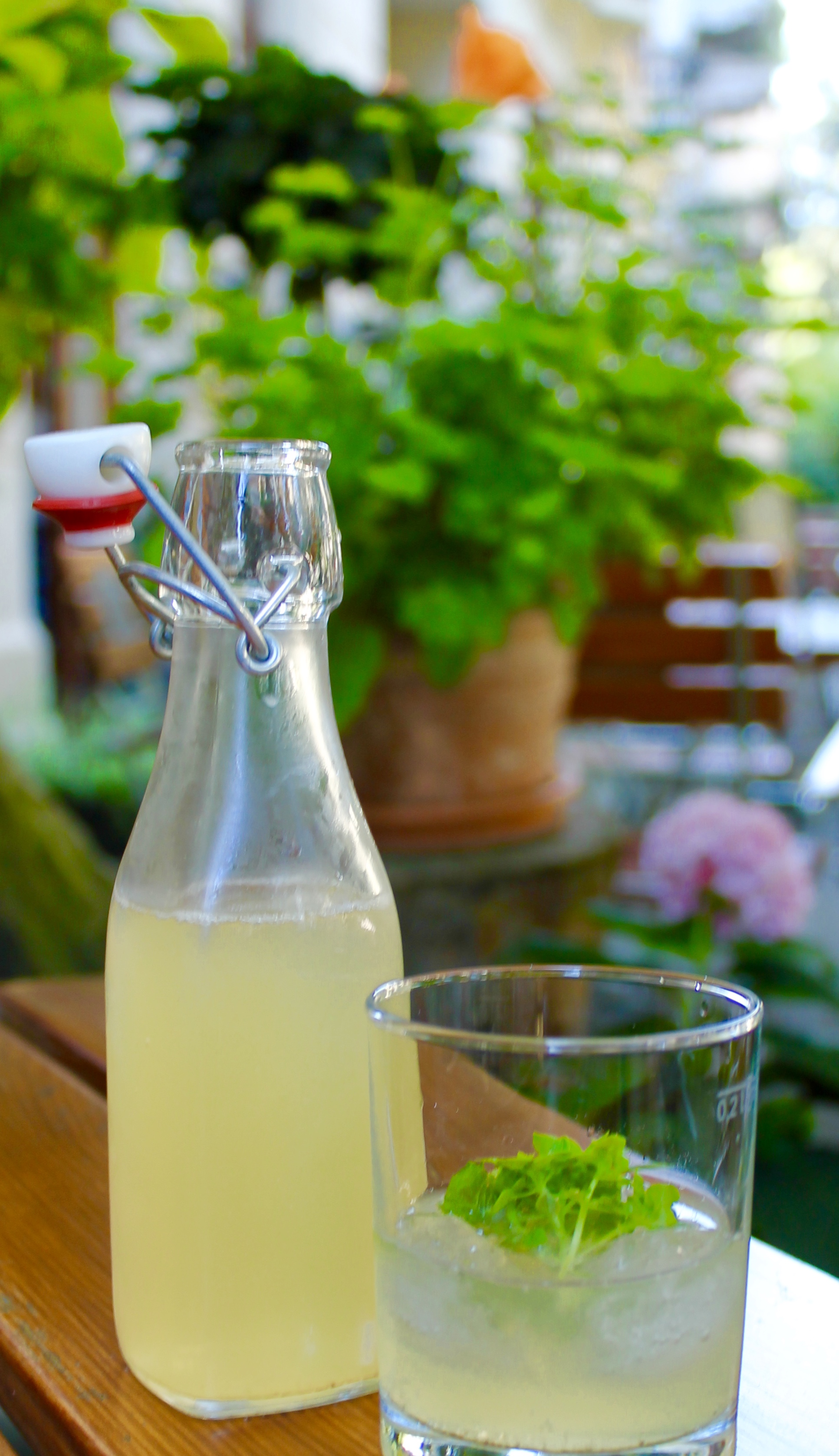 Hausgemachte Limonade mit Minze